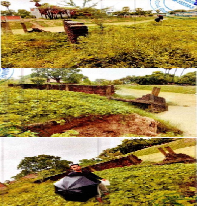 Mr. Syed Jamal Asraf, Bihar